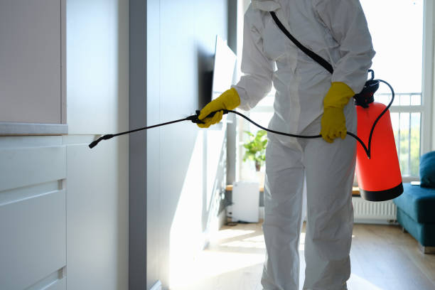 Best Office Mold Removal Services  in Alpine, NJ