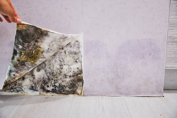 Water Damage Restoration in Alpine, NJ